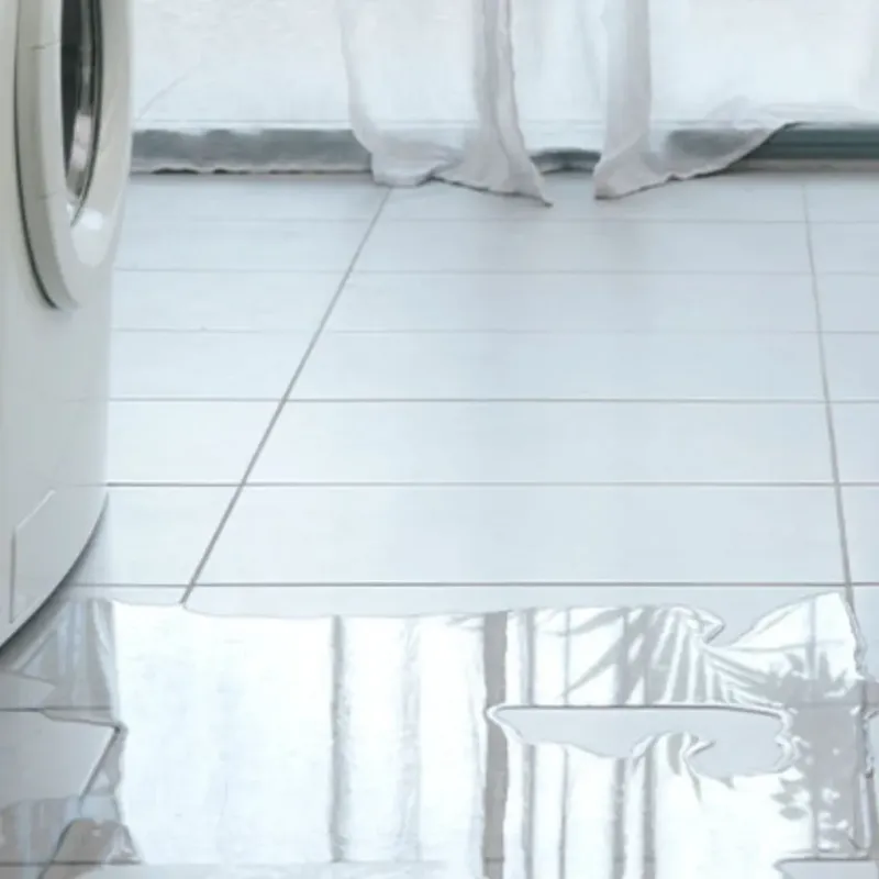 Appliance Leak Cleanup in De Pere, WI